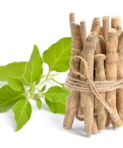 Lọ xịt thơm miệng Savi Kiss - Nụ hôn hồng sâm